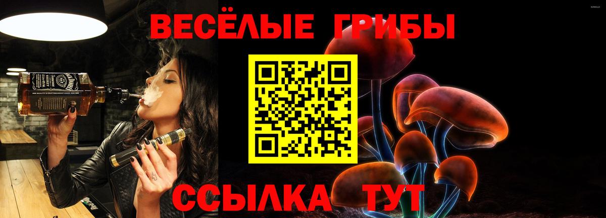 купить закладку  Вход с VPN  Санкт-Петербург  Псилоцибиновые грибы Cubensis  Галлюциногенные грибы ЛСД 