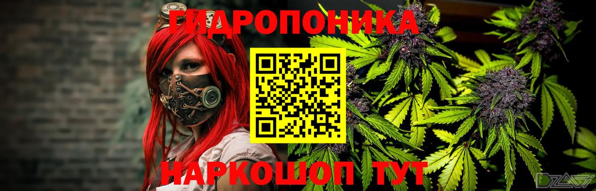Марихуана семена Санкт-Петербург